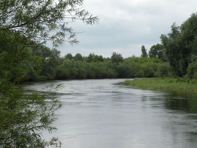 Powiększ zdjęcie: Rzeka Wieprz