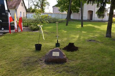 Dęby Pamięci