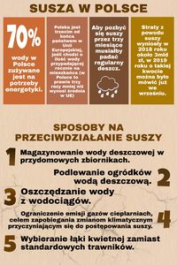 susza3