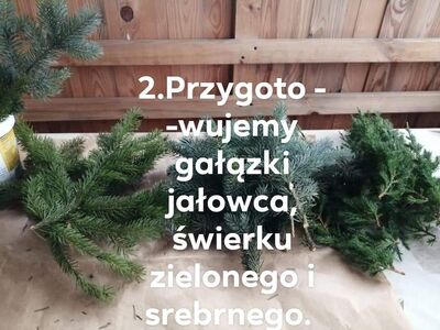Przygotowujemy gałązki jałowca, świerku zielonego i srebrnego