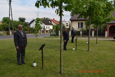 Dęby Pamięci 2021r.