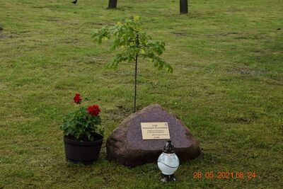 Dęby Pamięci 2021r.