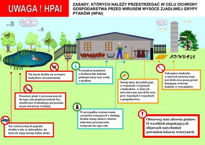 Ulotka dla hodowców grypa ptaków