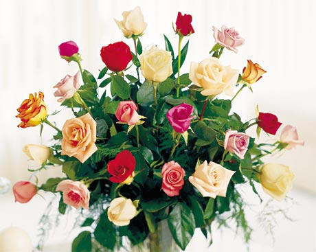 kolorowe roze