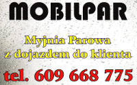 MOBILPAR - mobilna myjnia parowa