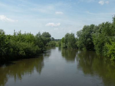 Powiększ zdjęcie: Rzeka Wieprz (2)