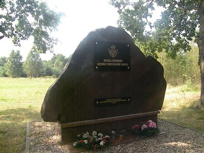 Powiększ zdjęcie: Mogiła zbiorowa siedmiu powstańców 1863 r.